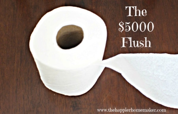 A close up of a roll of toilet paper with the words "The Five Thousand Dollar Flush" next to it