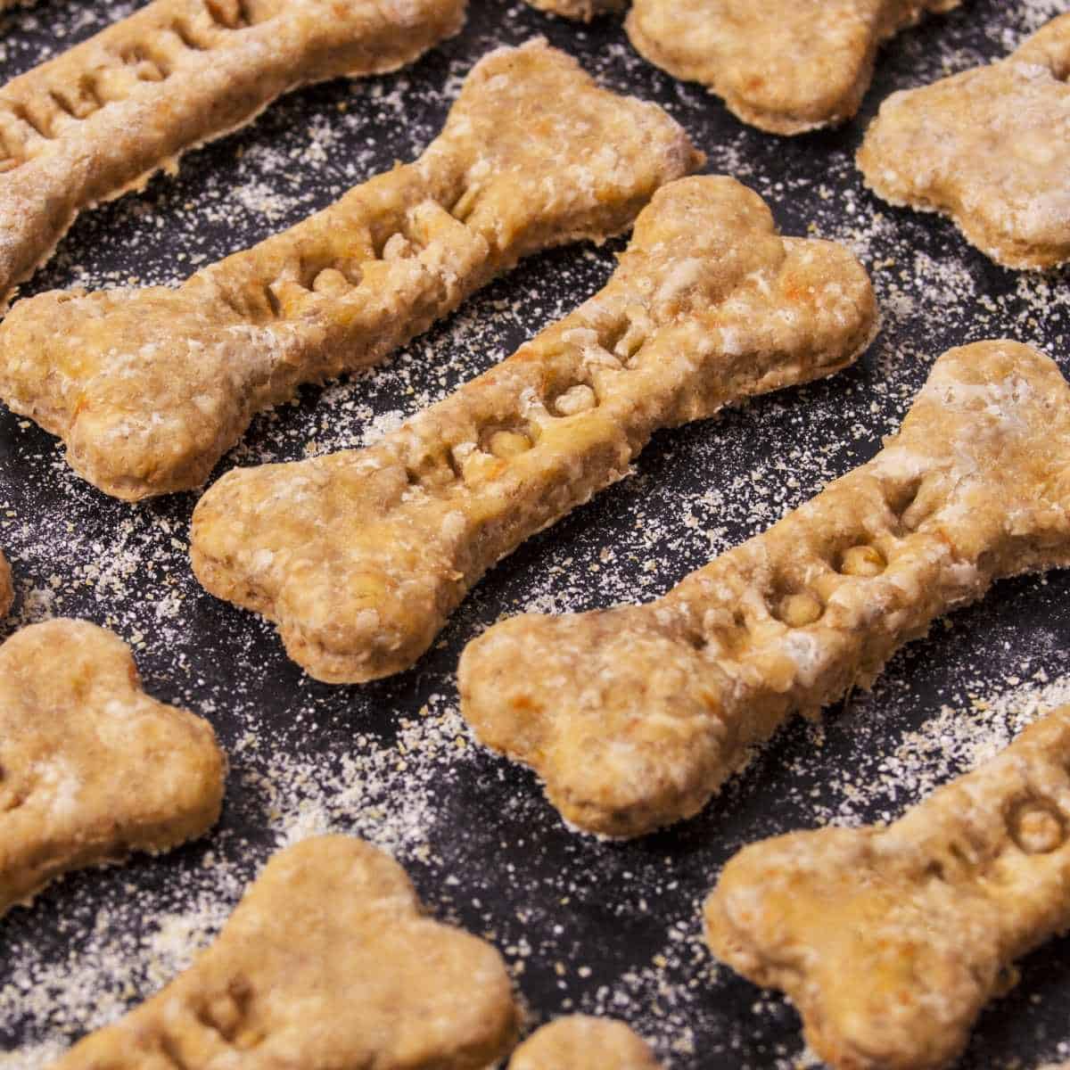 Dog treats shop from scratch