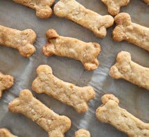 Peanut Butter Homemade Dog Treats Recipe | The Happier Homemaker