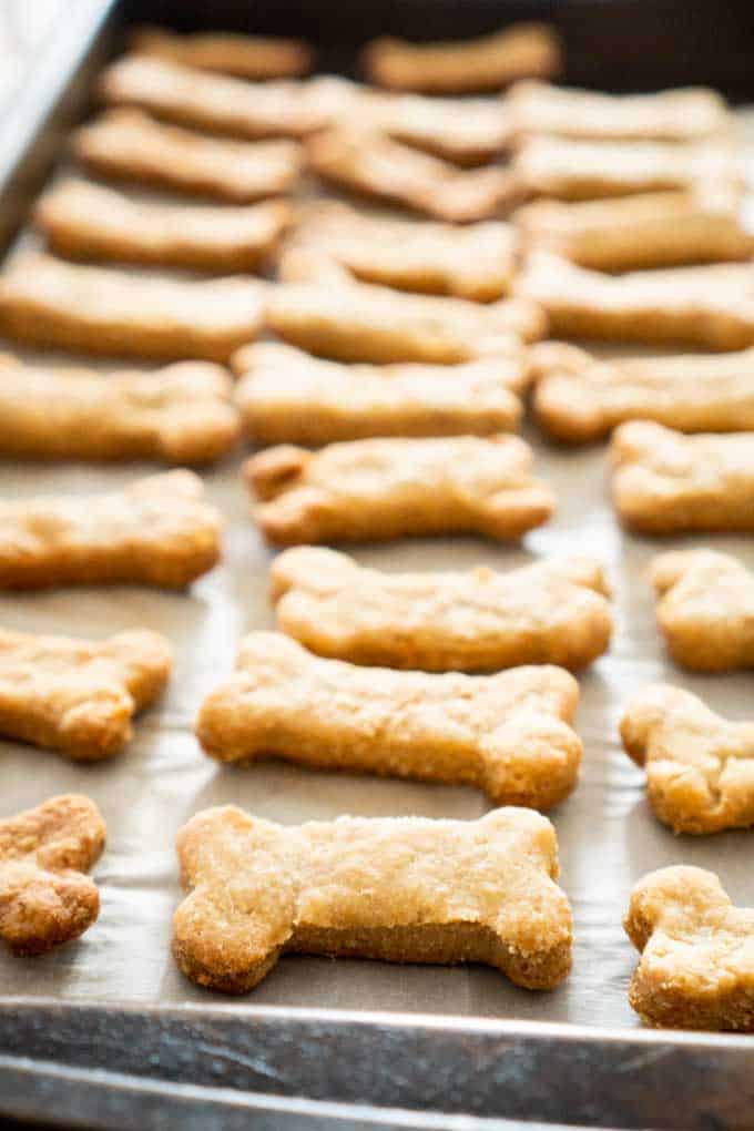 Pumpkin And Peanut Butter Homemade Dog Treats