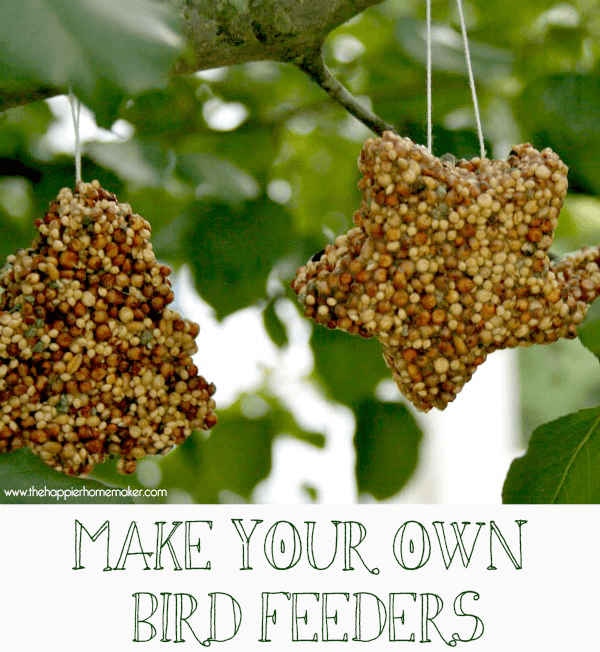 birdseed feeders shaped as stars