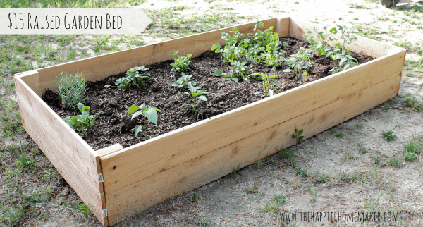 raised garden bed