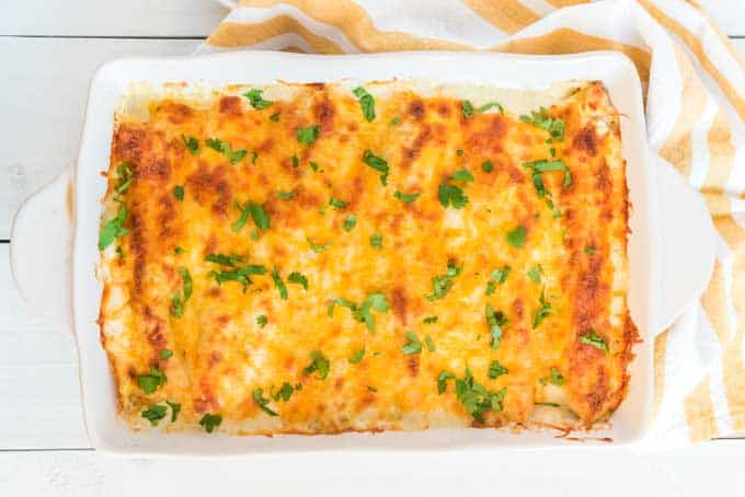 overhead view of chicken enchiladas in casserole dish 