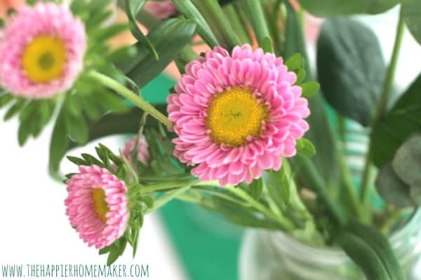 A close up of a pink zinnia with yellow center in a vase