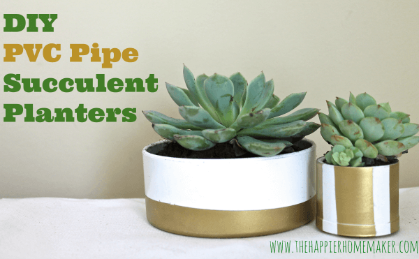 pvc pipe succulent planter