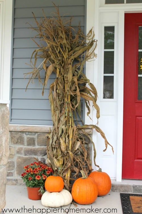 close up fall porch