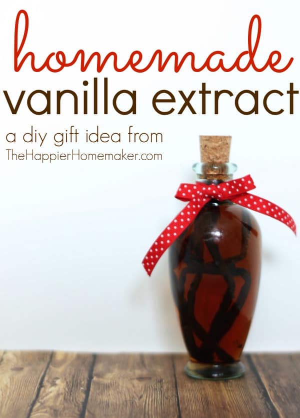 diy homemade vanilla extract in small bottle with ribbon
