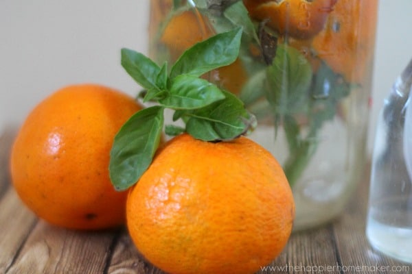 orange basil cleaner