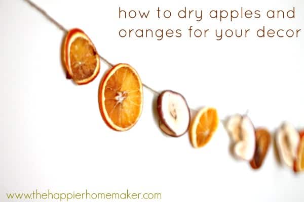 dried apples and oranges on garland