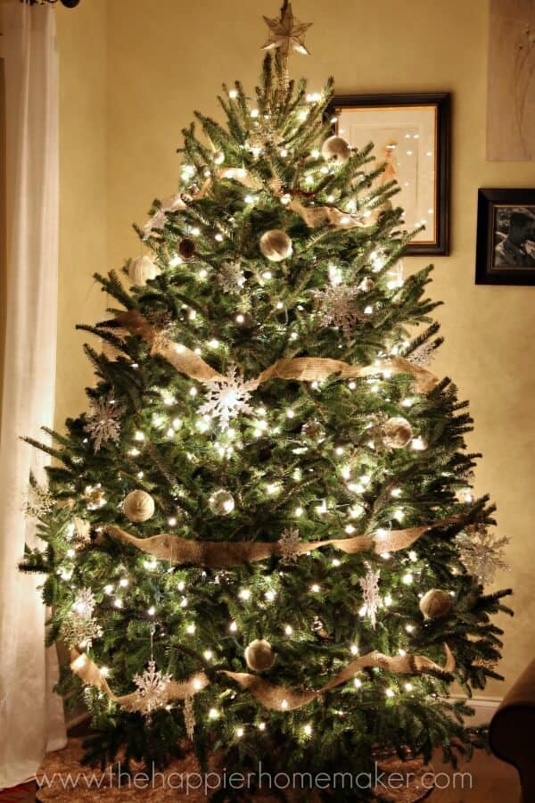 2013 Christmas Tree