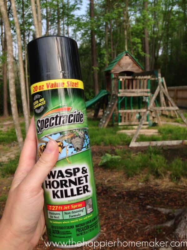 spectracide wasp hornet killer