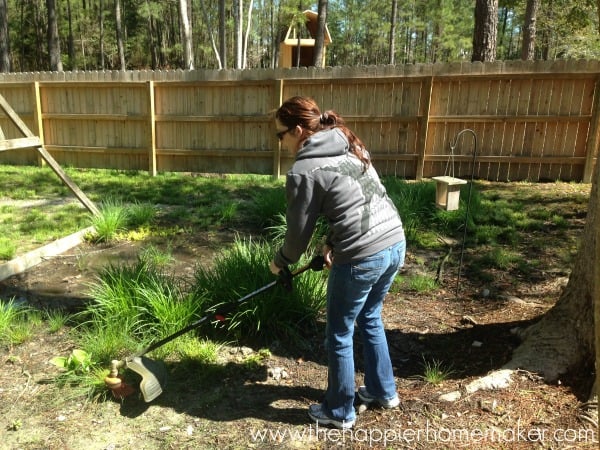 A person weed eating 