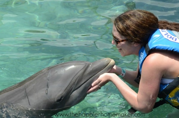 A person in the water touching a dolphin