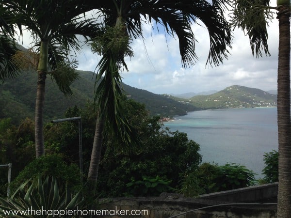 tortola view