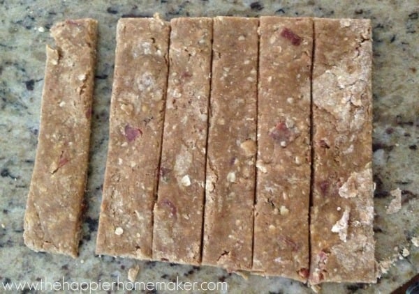 diy dog beggin strips