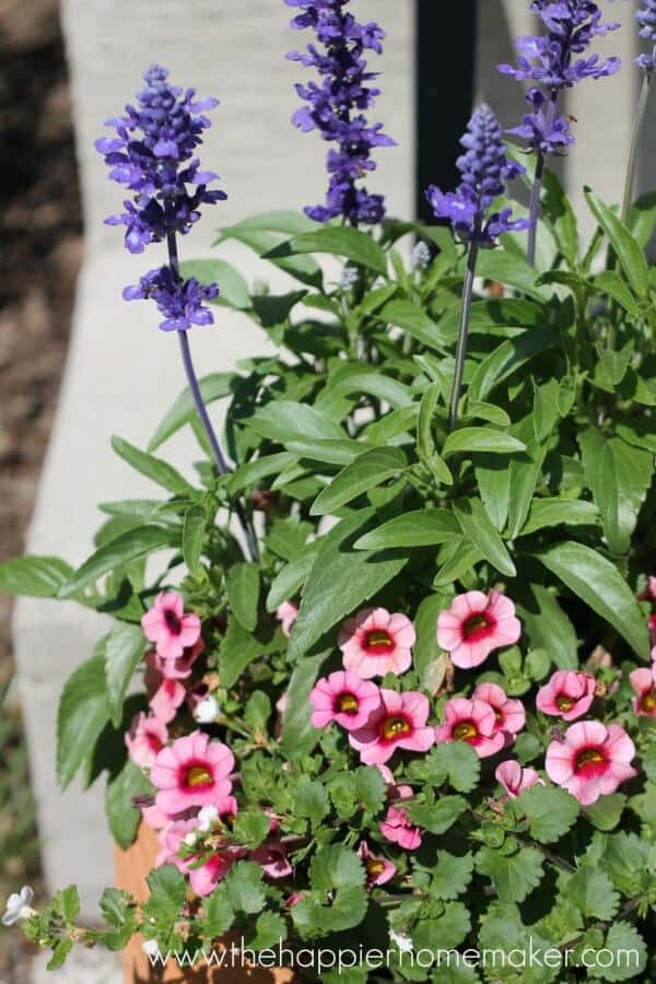 flower pot front porch