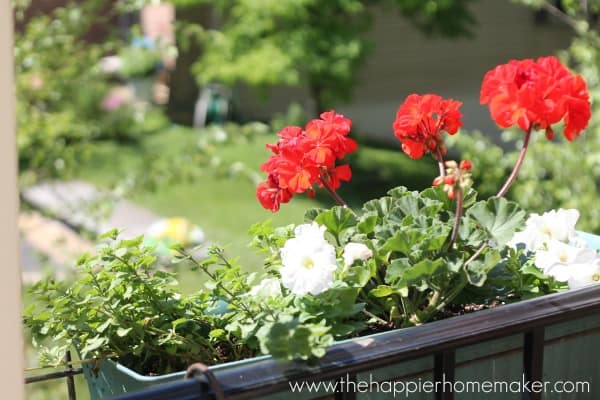 flowerbox front porch