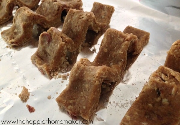 homemade beggin strips