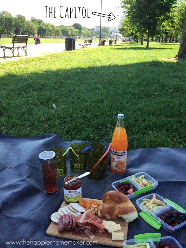 picnic at the capitol