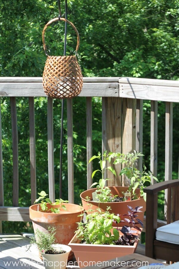 plants balcony summer home tour