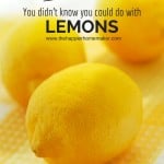 close picture of lemons