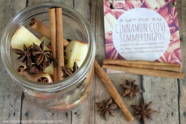 An overhead picture of cinnamon clove simmering pot recipe  next to cinnamon sticks and cloves