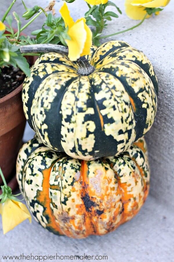 pumpkins on porch 14