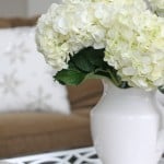 A close up of white hydrangea flowers in a white vase