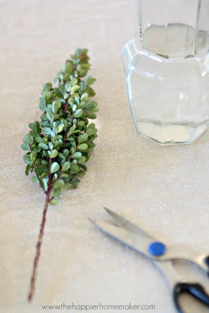 trimming greenery stems for bouquet