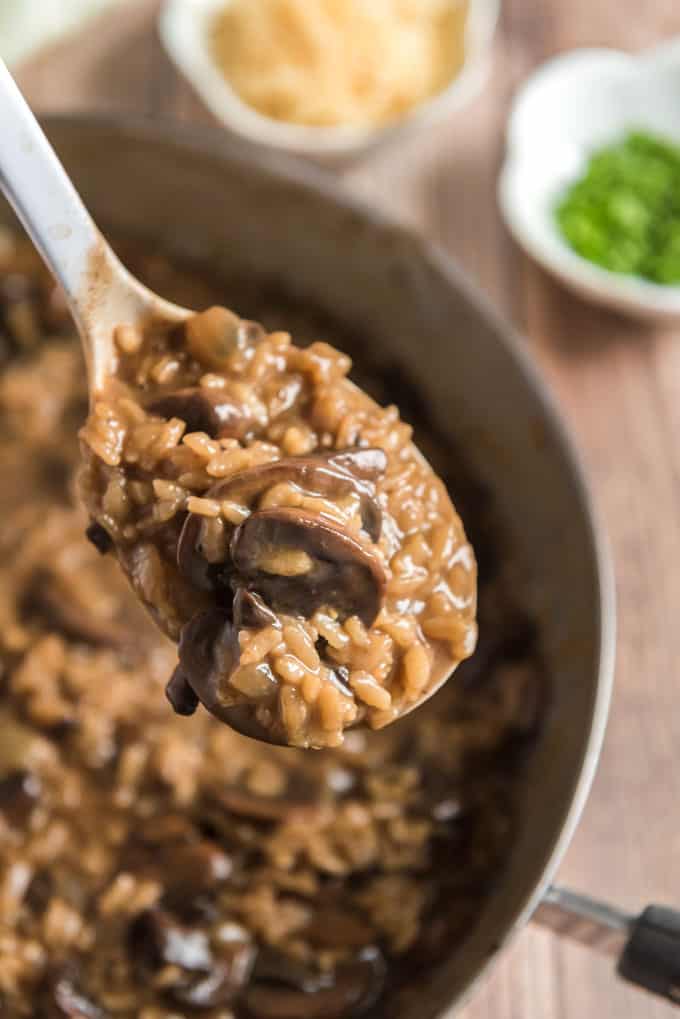 spoonful of mushroom risotto