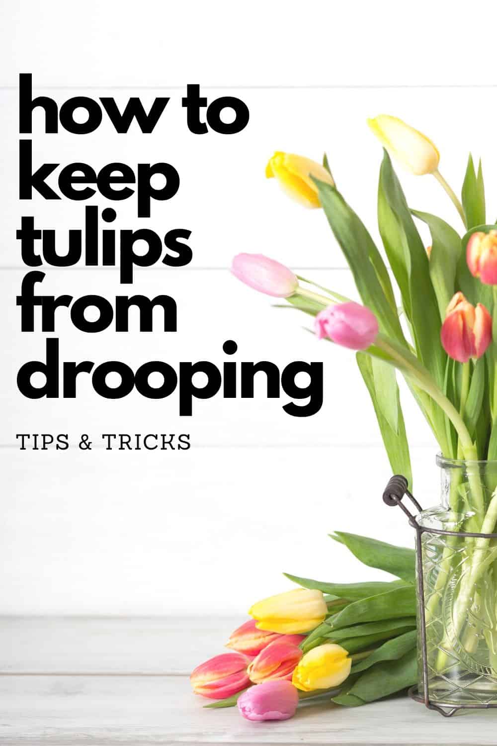 How to Keep Tulips from Drooping The Happier Homemaker