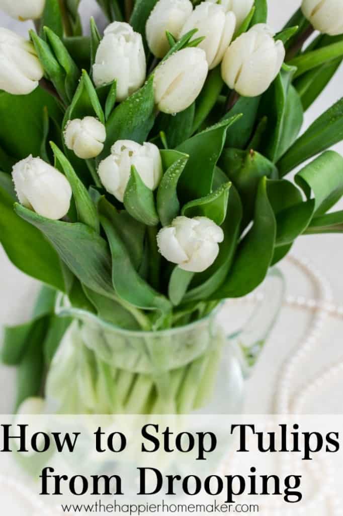 The Truth About Penny in the Vase for Your Flower Arrangements