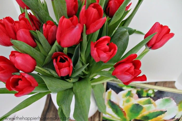 red tulips in a vase