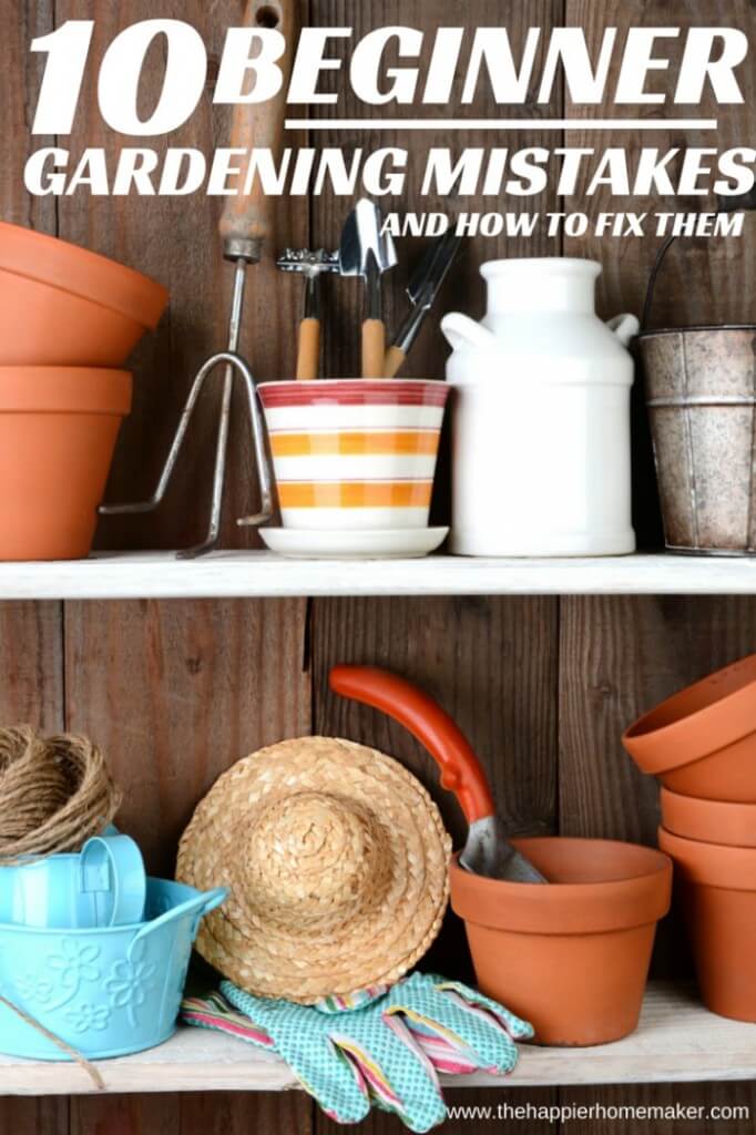 Gardening shelves with assorted tools for gardening