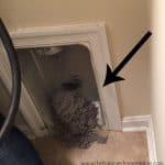 Dryer lint that had blocked the vent