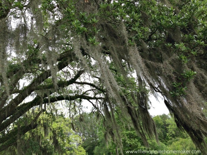 Lowcountry Boil Recipe The Happier Homemaker