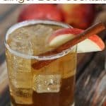 A glass of apple cider ginger beer garnished with a cinnamon stick and a apple slice