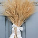 A close up of a wheat bunch tied with a white ribbon used a door wreath