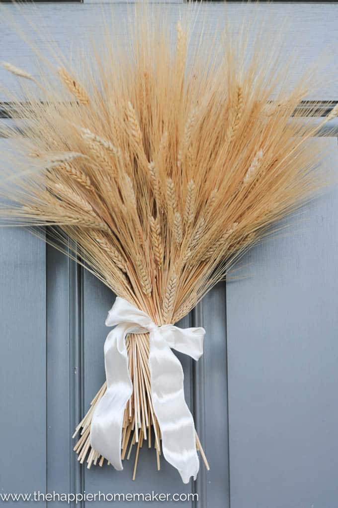 A close up of a wheat bunch tied with a white ribbon used a door wreath