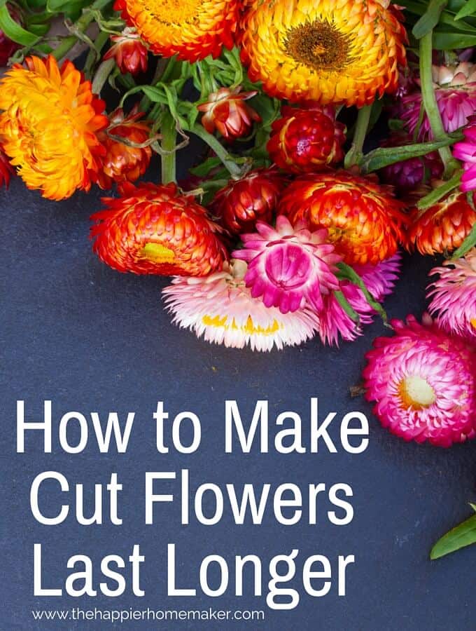 How to Make Cut Flowers Last Longer | The Happier Homemaker