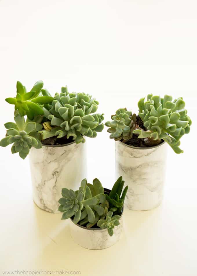 Faux marble planters made out of vegetable cans with succulents in them