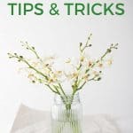 A glass vase of white and green flowers with the words "tips and tricks" above it