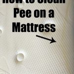 The words "how to clean pee on a mattress" over a bare mattress