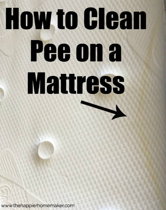 The words \"how to clean pee on a mattress\" over a bare mattress