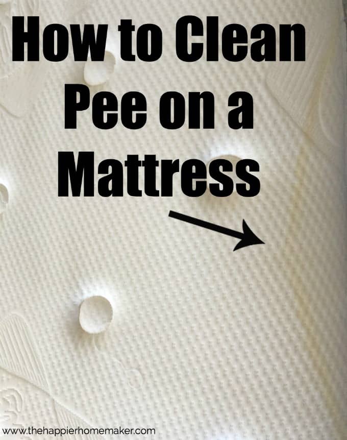 Accidents Happen: Expert Ways to Get Pee out of a Mattress