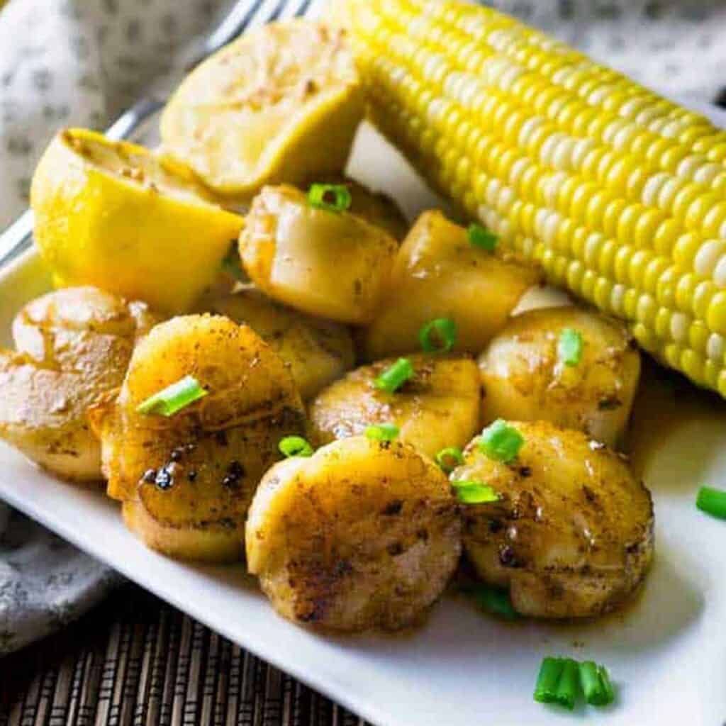 seared scallops on white plate