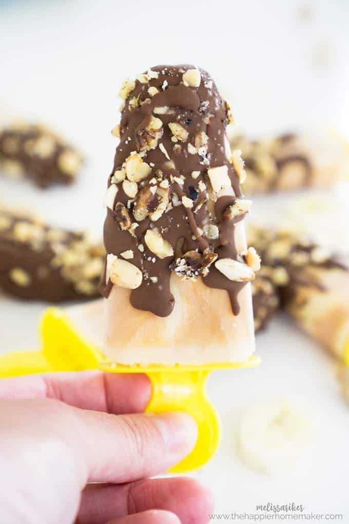 A close up of chocolate chunky monkey pops covered with crushed peanut covering 