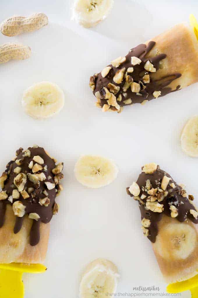A close up of chocolate chunky monkey pops covered with crushed peanut covering 