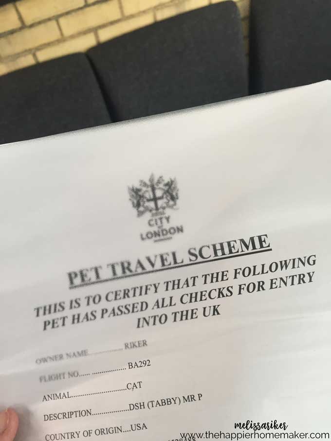 pet-travel-to-uk