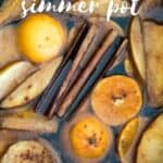 Potpourri Simmering Pot Recipes for Fall and Winter • Little Pine Learners